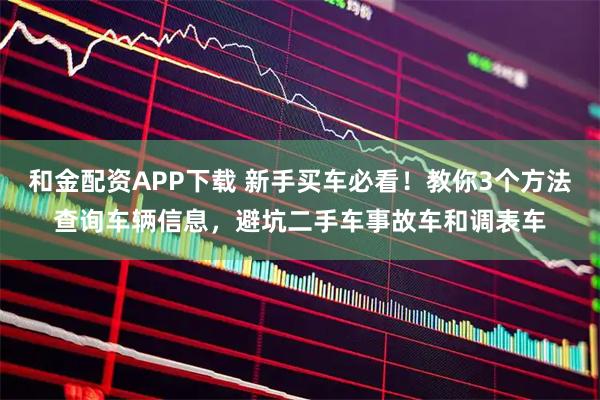 和金配资APP下载 新手买车必看！教你3个方法查询车辆信息，避坑二手车事故车和调表车